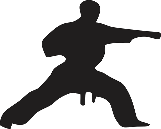 cordemais karate