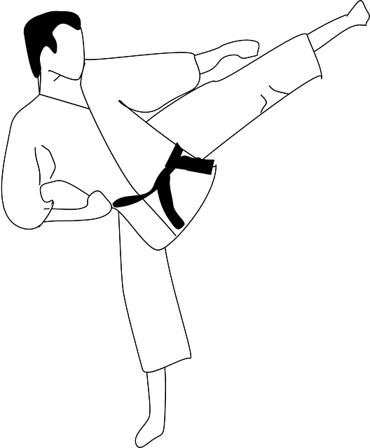 cordemais karate
