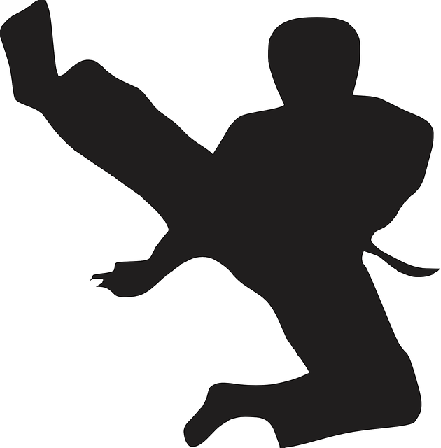 karate histoire